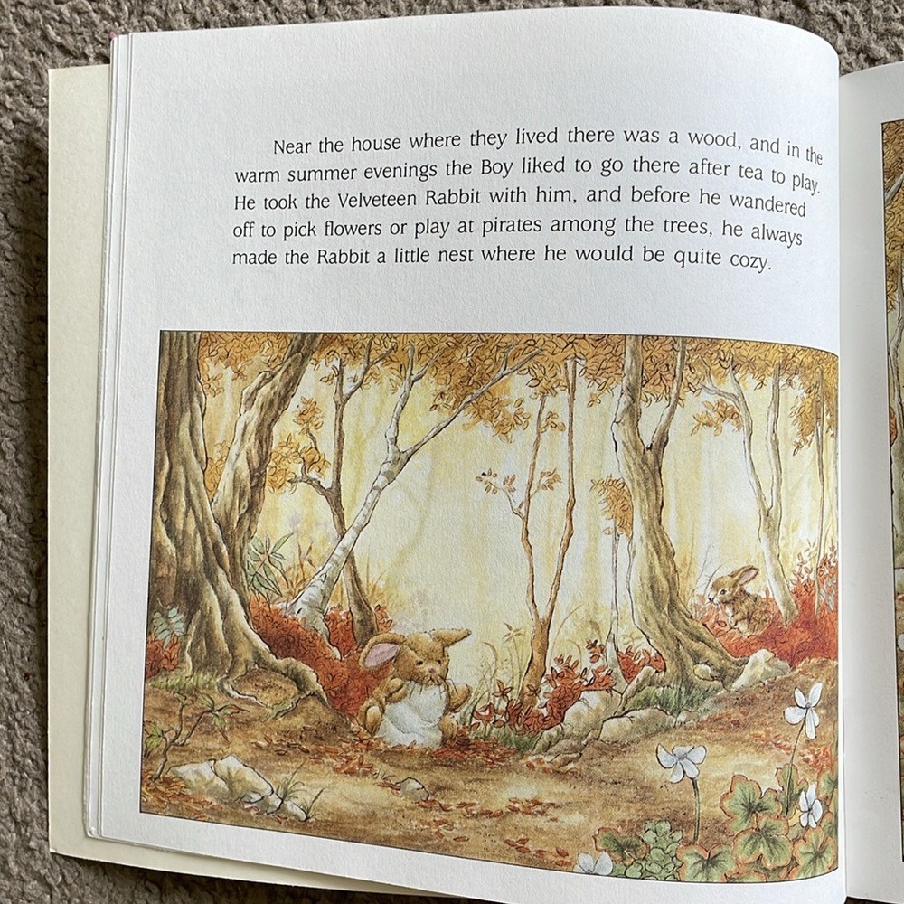 Scholastic books set of four - Picture 9 of 9